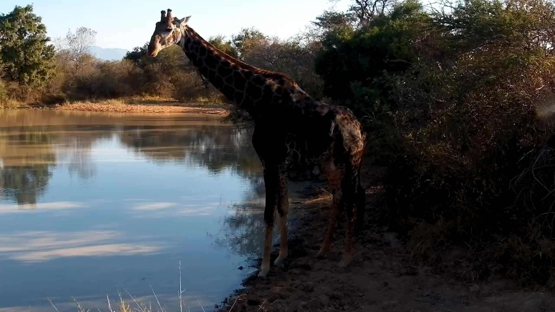 A Peaceful Afternoon at Jabulani
