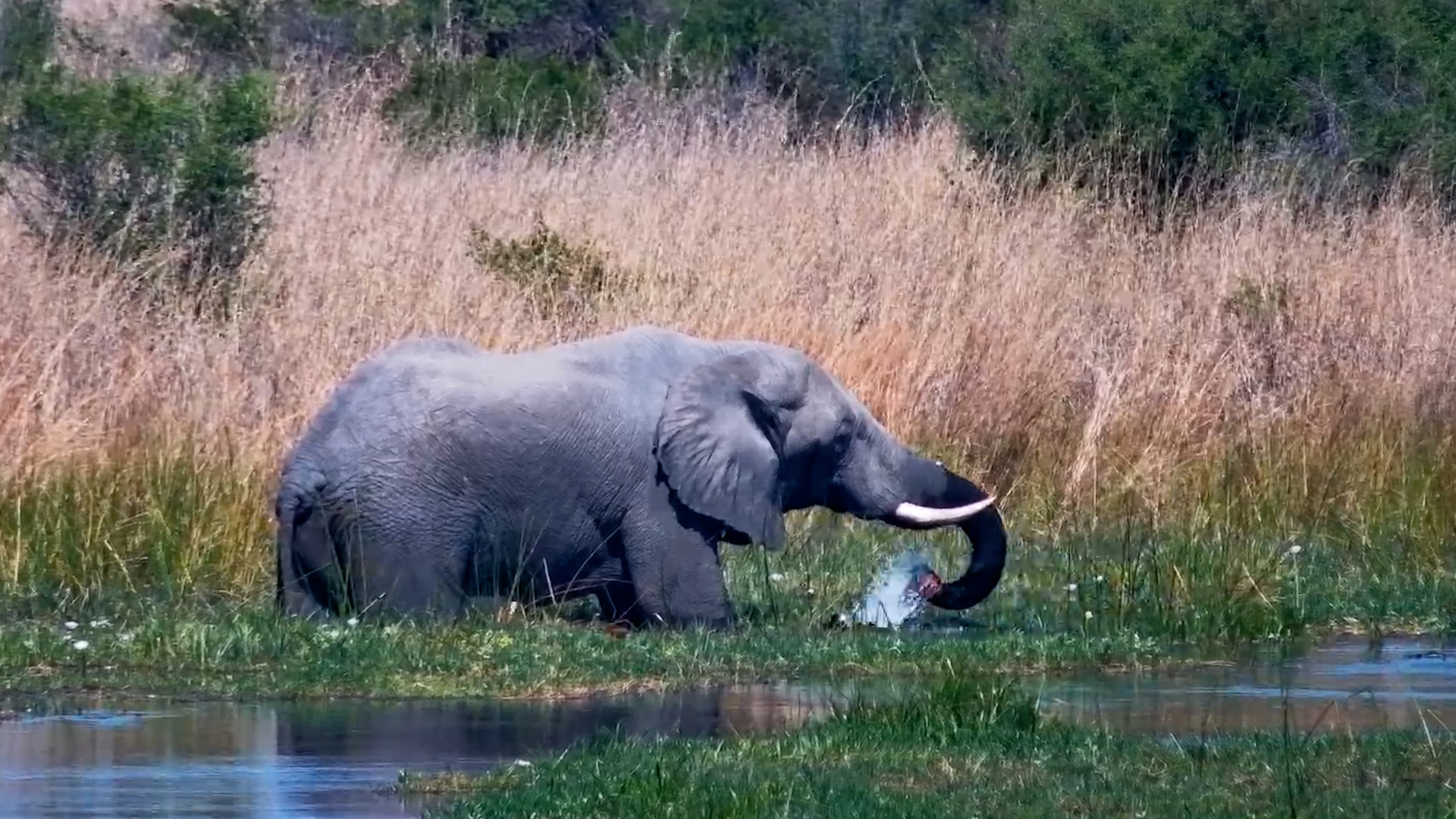 Lunch Tastes Better in the Water