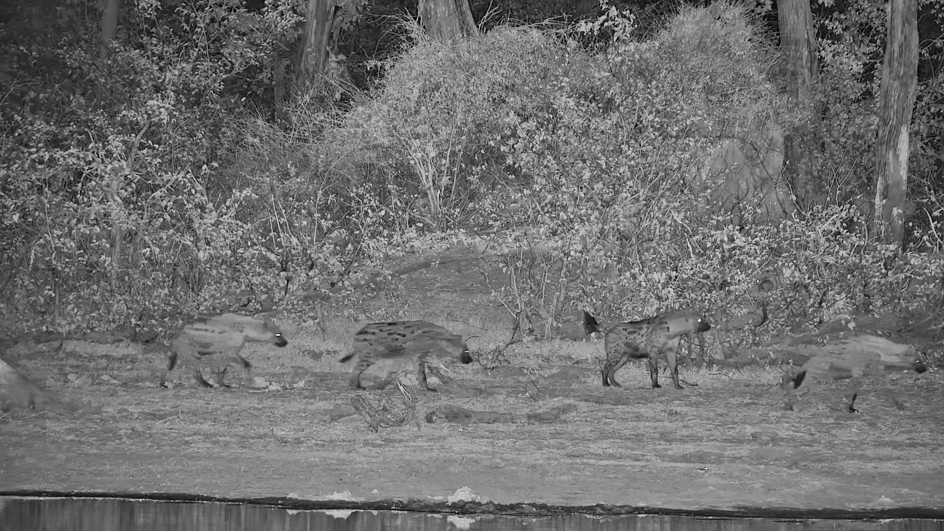 A Clan on a Mission