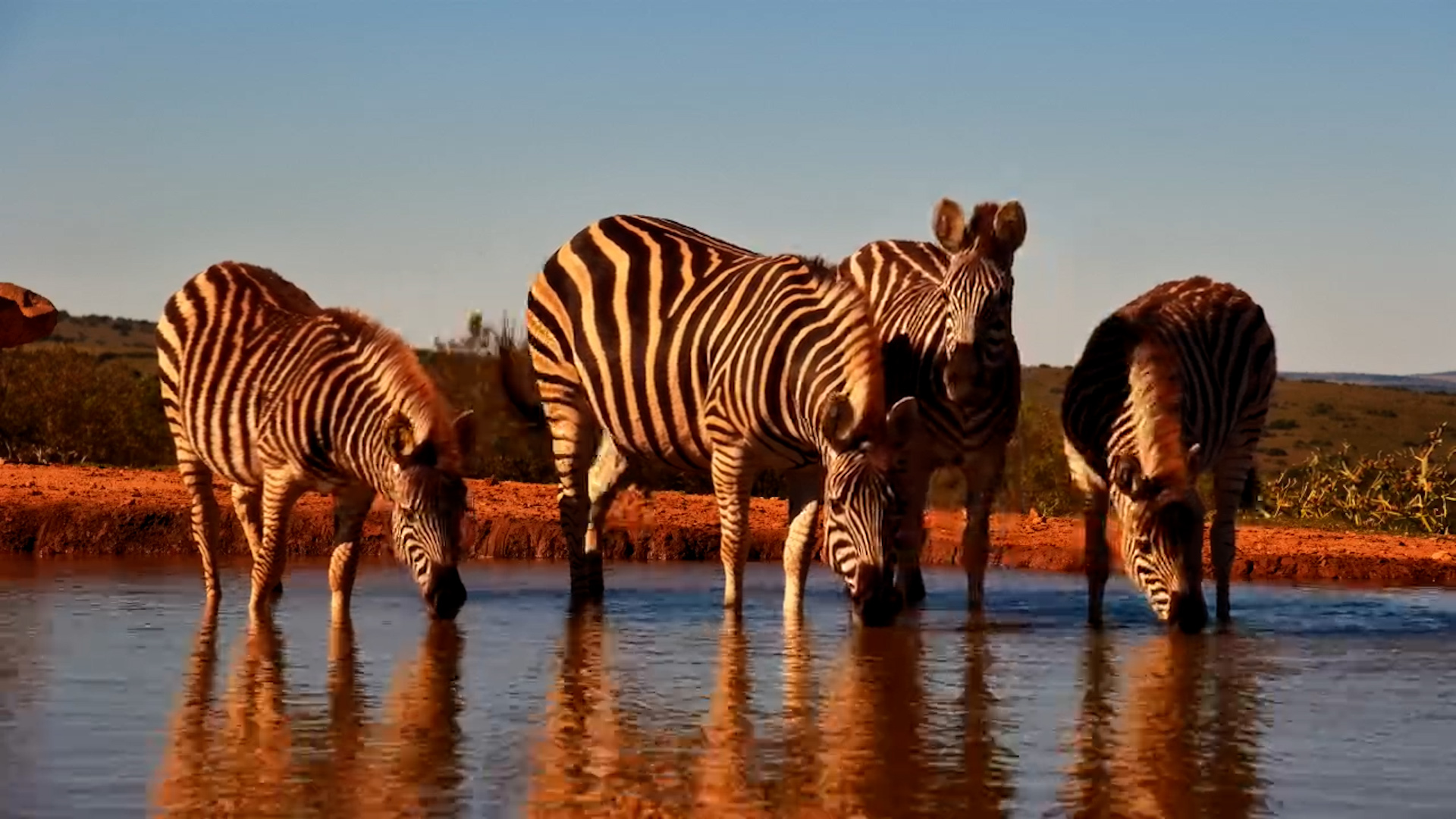 A Peaceful Drink in the Eastern Cape