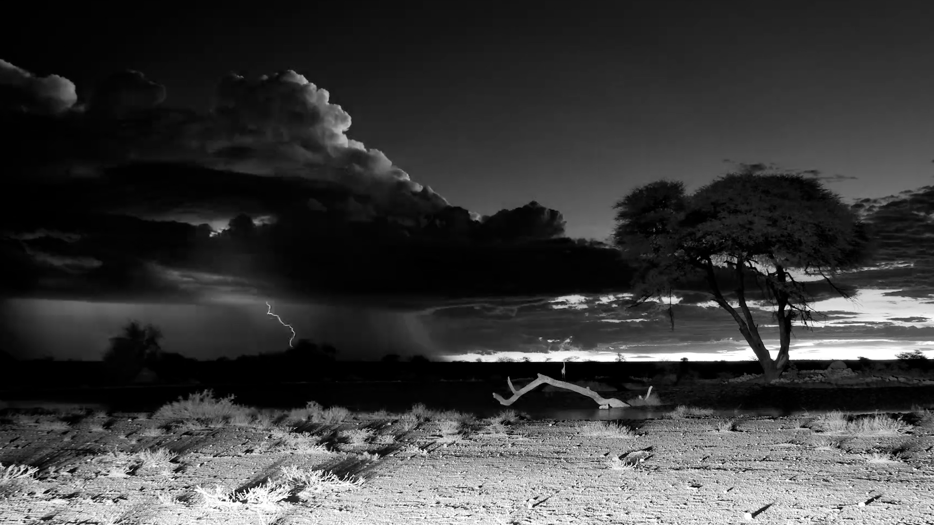 Dramatic Skies Over Etosha